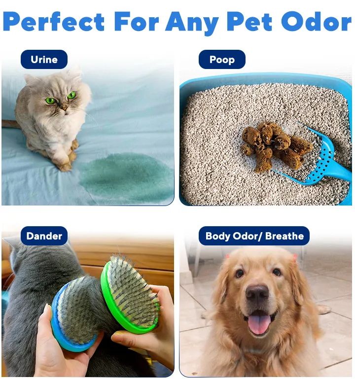 Clarifion ODRx Pet Smell Neutralizer - Image 6